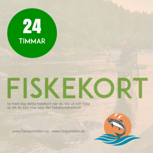 Storforsen: Fiskekort 24-timmar junior (dygn)